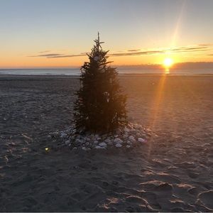 Meet your Posher, Suzanne